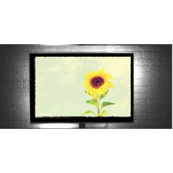 Подсветка телевизора USB Led 1 White