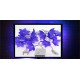 Подсветка телевизора USB Led 2 Blue