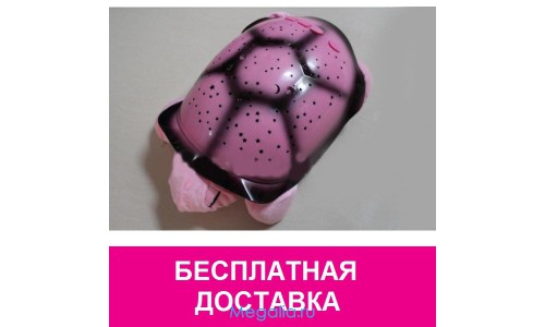 Черепашка звездная