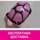 Черепашка звездная