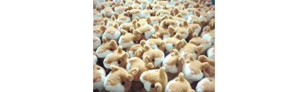 Говорящие интерактивные игрушки